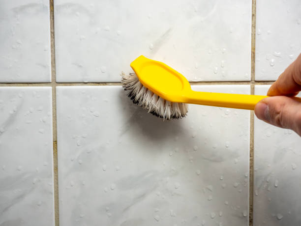 Best Mold Damage Repair  in Morrice, MI